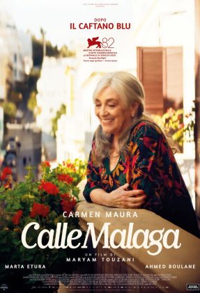 Calle MalagaRID