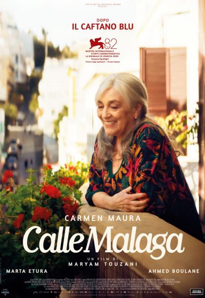 Calle MalagaRID